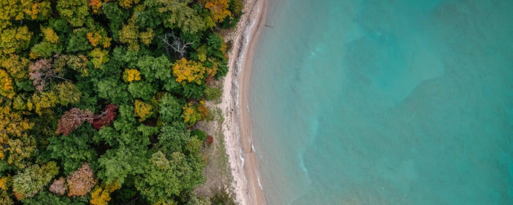 Our Services 2 1024x410 1